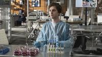 The Good Doctor